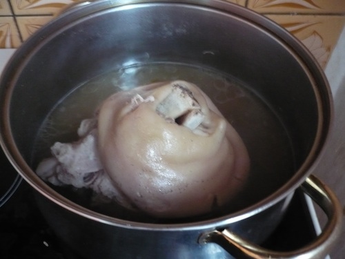 Vaření kolena pro výrobu domácího sulcu