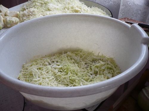 Recept na kysané zelí - promíchání se solí a kmínem
